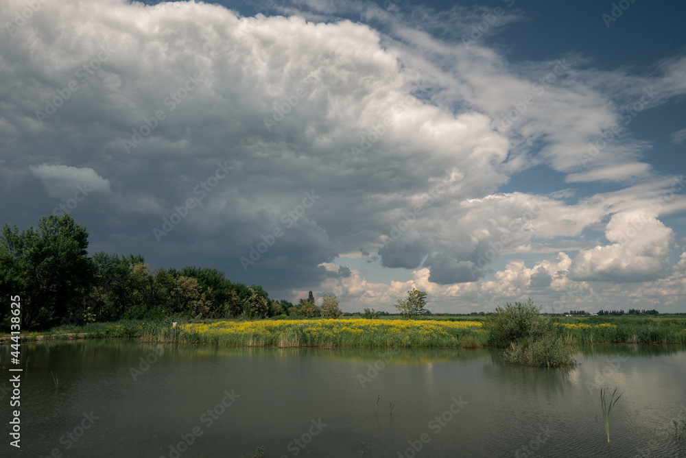 a large thundercloud over the reservoir and a yellow flowering rapeseed