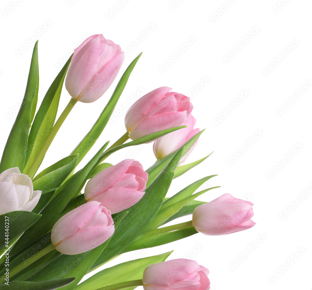 Beautiful bouquet of tulips isolated on white Beautiful bouquet of tulips isolated on white