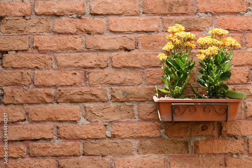 Flowerpot in an iron stand on the brick wall with copyspace