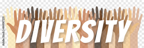 Diversity social community hands vector illustration on transparent background isolated