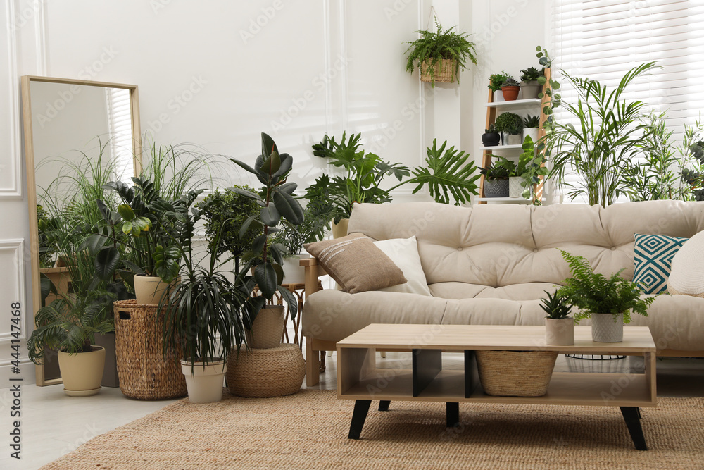 Fototapeta premium Stylish room interior with comfortable sofa and beautiful potted plants. Lounge zone