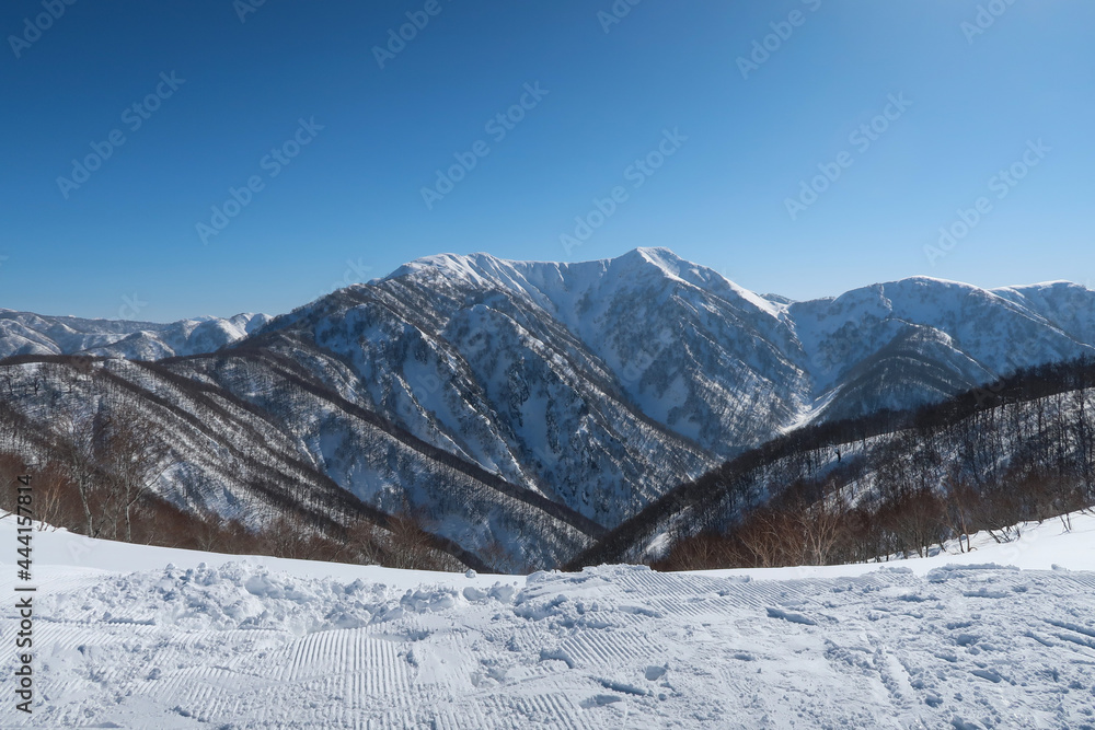 晴天の日本のスキーリゾート