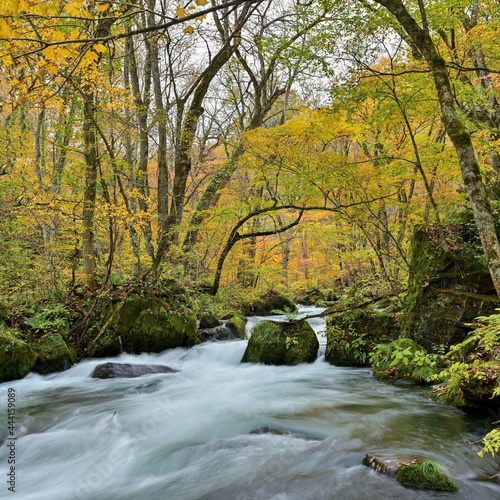 ちょうど見頃の紅葉に囲まれた奥入瀬渓流「阿修羅の流れ」の情景＠青森