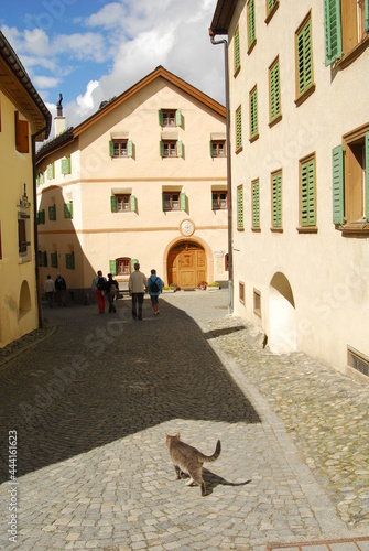 Cats in Guarda landscape, Switzerland © i_moppet
