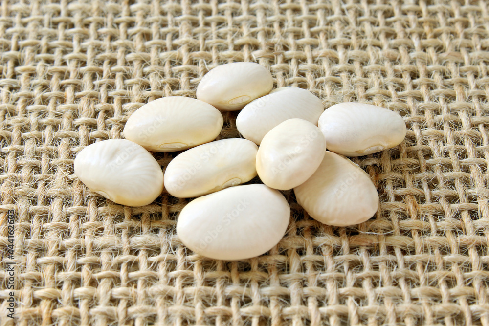 White fava beans in detail
