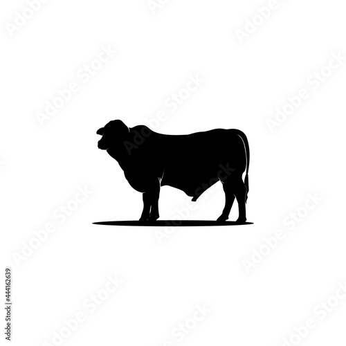 Cattle Angus Cow Silhouette Livestock Farm Logo Design