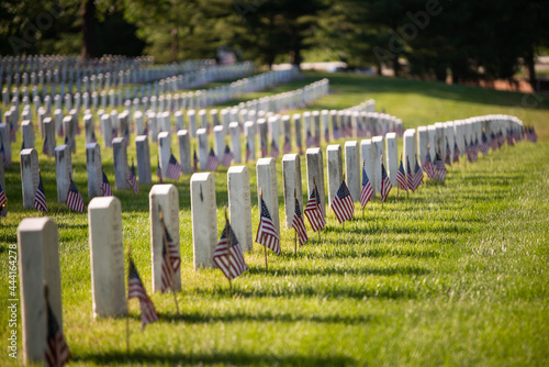 Slika na platnu Memorial Day -Arlington