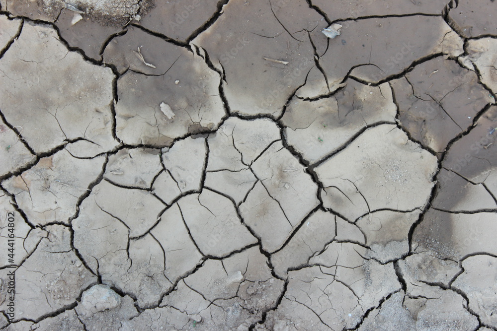 Fototapeta premium dry cracked earth texture, Dry Cracked Earth Dirt