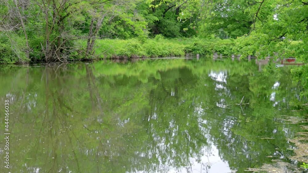 Pan of historic Hennipen Canal (aka Illinois Mississippi Canal) with tree along the bank and reflecting in calm waters; Hennipen Canal Trail State Park on a lovely summer afternoon Pan of historic Hennipen Canal (aka Illinois Mississippi Canal) with tree along the bank and reflecting in calm waters; Hennipen Canal Trail State Park on a lovely summer afternoon