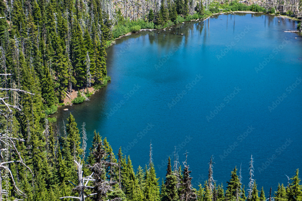 Aerial view of blue forested lake shore edged by green fir trees.