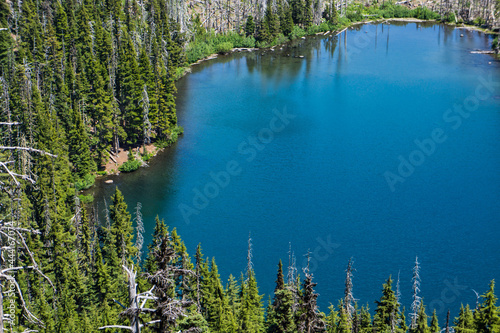 Aerial view of blue forested lake shore edged by green fir trees.