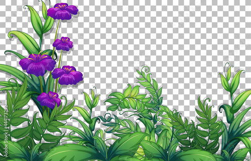 Flower and leaves frame template on transparent background