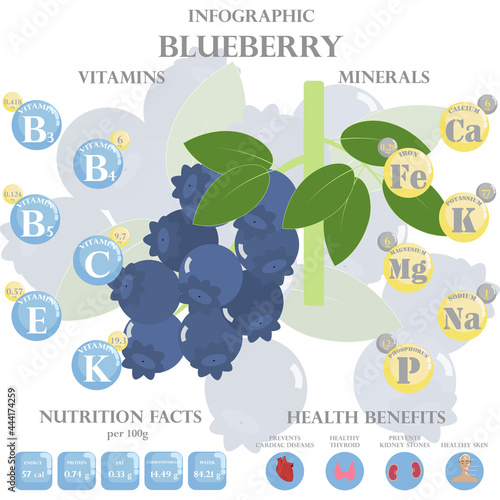 Health benefits and nutrition facts of blueberry infographic vector illustration.