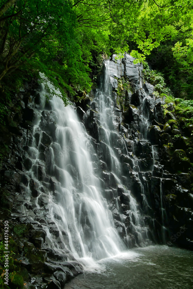 Obraz premium 筥滝