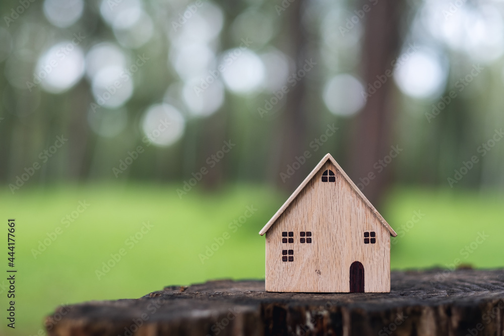 Wooden house models on tree stump in the outdoors