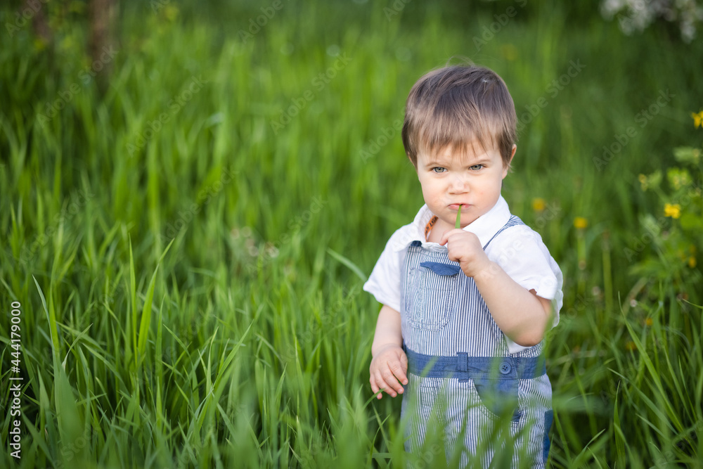 Funny little boy with blue bright eyes in overalls eating fresh green grass in a large blooming garden Funny little boy with blue bright eyes in overalls eating fresh green grass in a large blooming garden