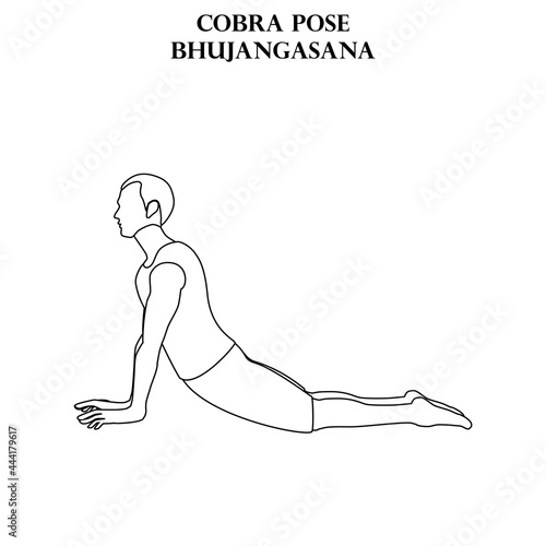 Cobra pose yoga workout. Bhujangasana. Man doing yoga illustration outline