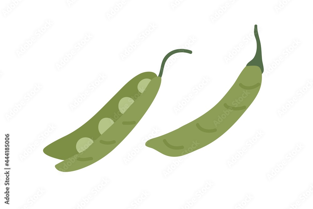 Open and closed pea pods with fresh raw green beans. Organic vegetable with seeds. Healthy natural food. Sweet veggie composition. Flat vector illustration isolated on white background Open and closed pea pods with fresh raw green beans. Organic vegetable with seeds. Healthy natural food. Sweet veggie composition. Flat vector illustration isolated on white background