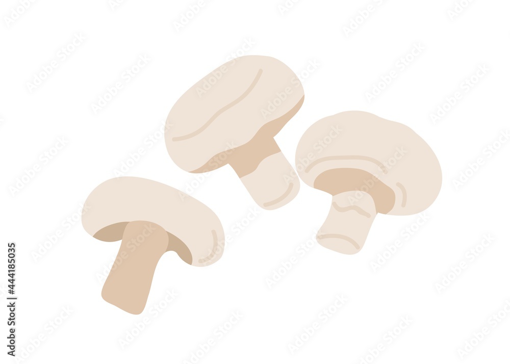 Fresh champignon fungi composition. Whole mushrooms and slice of fungus. Cut piece and full veggie. Flat vector illustration of raw natural food isolated on white background Fresh champignon fungi composition. Whole mushrooms and slice of fungus. Cut piece and full veggie. Flat vector illustration of raw natural food isolated on white background