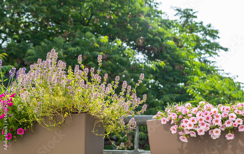 Balkon09072021a