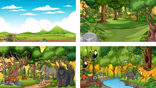Canvas Print Set of different forest horizontal scene with various wild animals