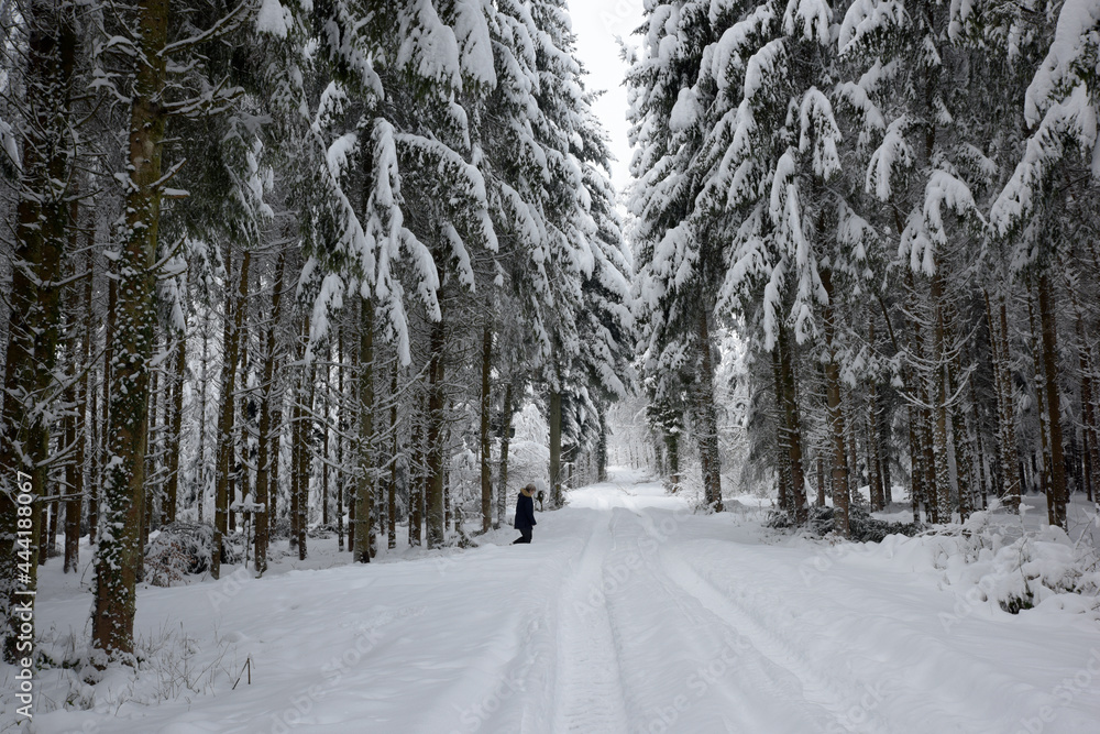 femme sur un chemin de forêt dans un bois enneigé - Suisse femme sur un chemin de forêt dans un bois enneigé - Suisse