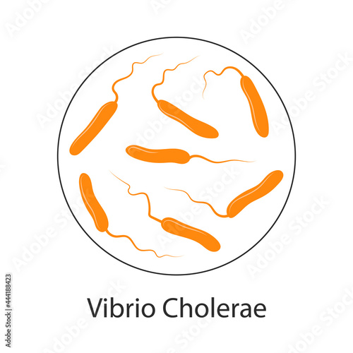 Vibrio cholerae bacteria, cartoon illustration. A bacterium that causes cholera disease and is transmitted through contaminated water.