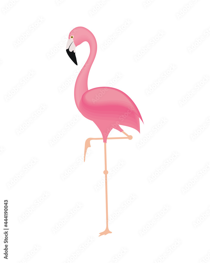 Fototapeta premium Cute flamingo cartoon