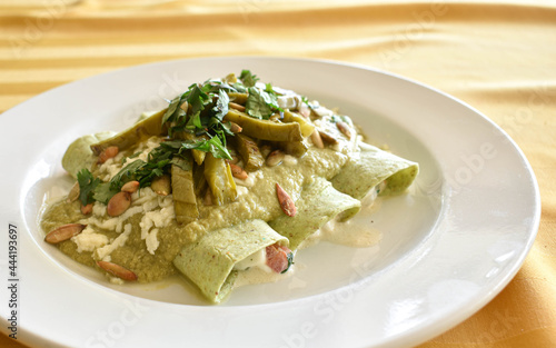 Platillo de Enchiladas con Nopales, salsa verde 