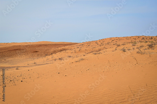 Desert in the Black Lands nature reserve