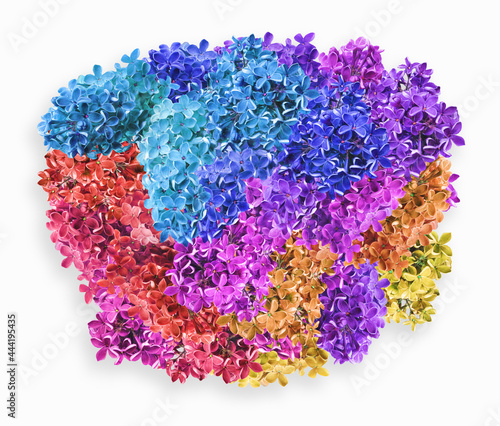 Colourful background of vibrant summer lilac flowers