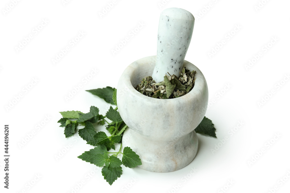 Mortar with nettle on white background, close up
