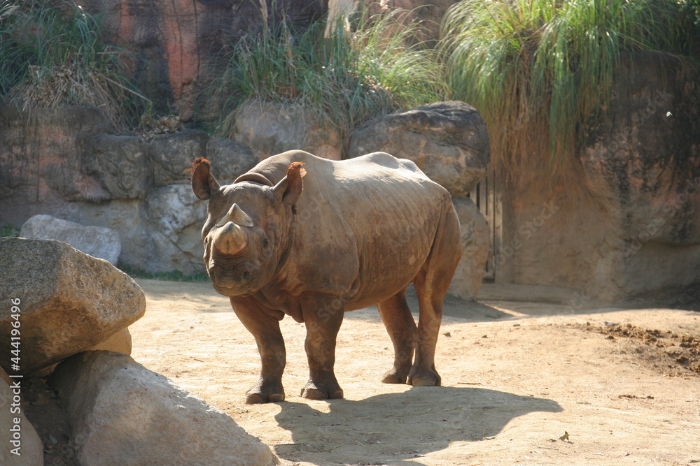 日本一楽しい　天王寺動物園