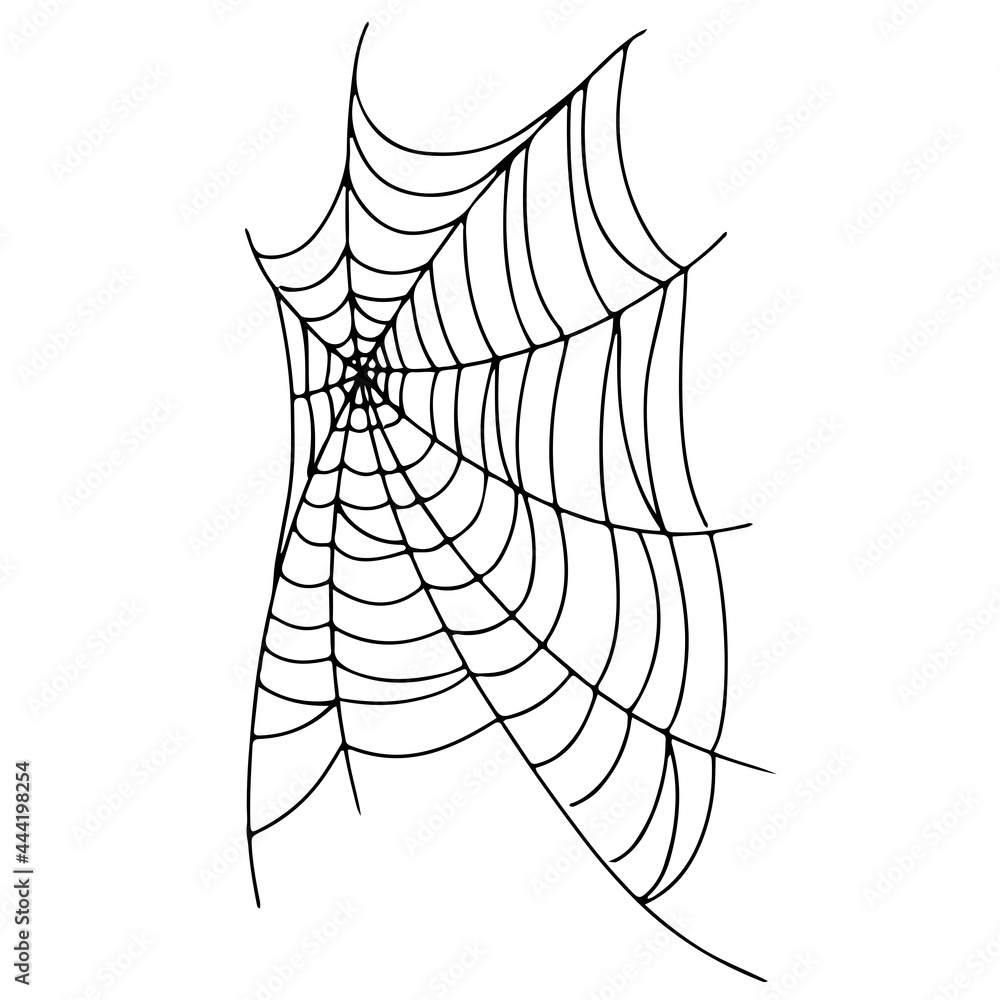 Beautiful spider web. Halloween decor. Decoration for the holiday. Vector illustration isolated on background. Beautiful spider web. Halloween decor. Decoration for the holiday. Vector illustration isolated on background.