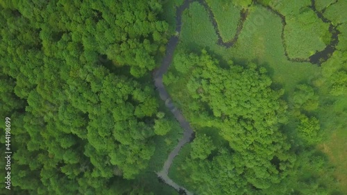 4k AERIAL: Top down view on small winding river in summer forest. photo