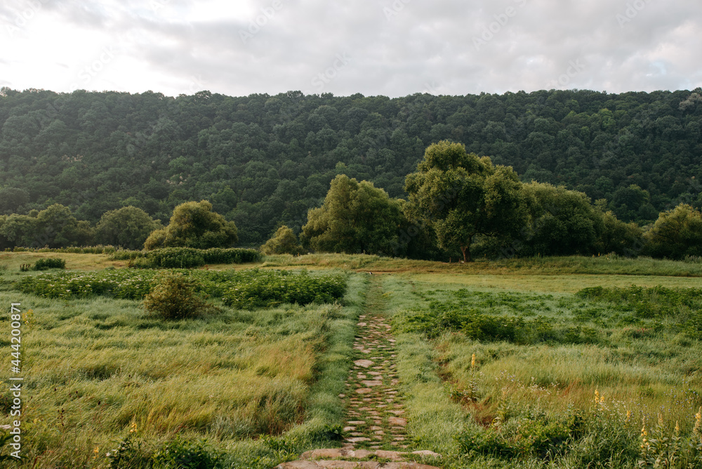 landscape with trees and hills landscape with trees and hills