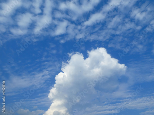 Clouds on the blue sky with small birds background and texture