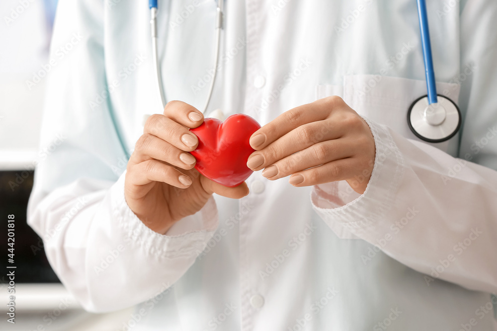 Female cardiologist with red heart, closeup Female cardiologist with red heart, closeup