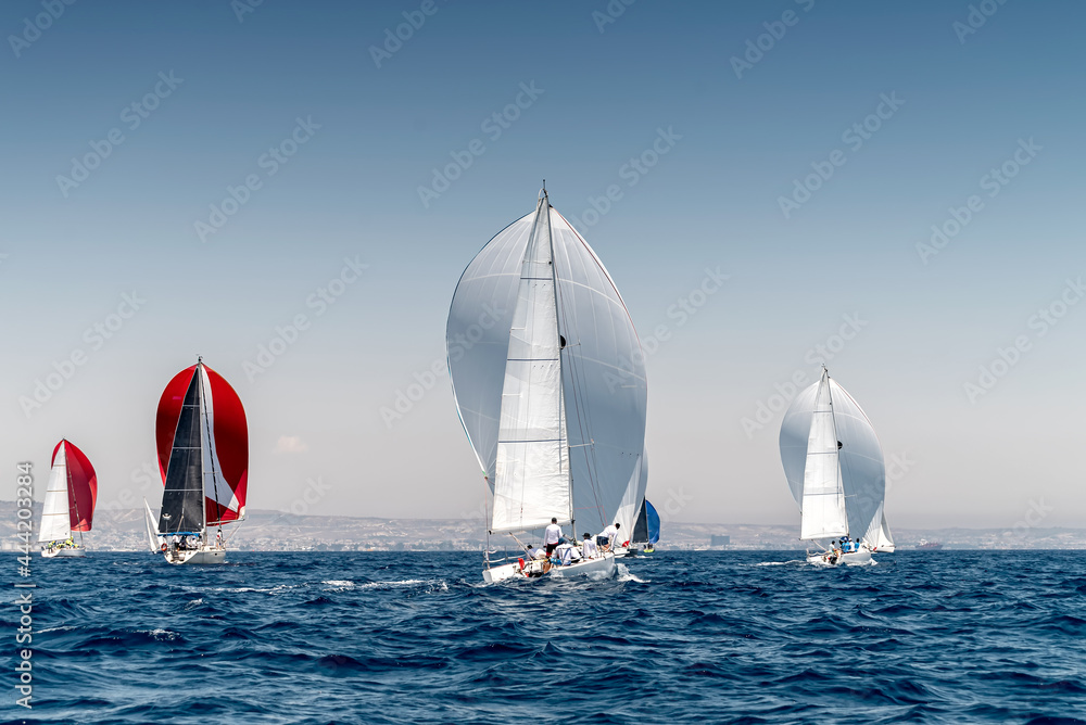 Obraz premium Sailboat race with multiple yachts