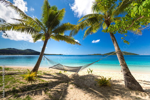 Hammock under palm trees on a beach in Fiji © Sabine