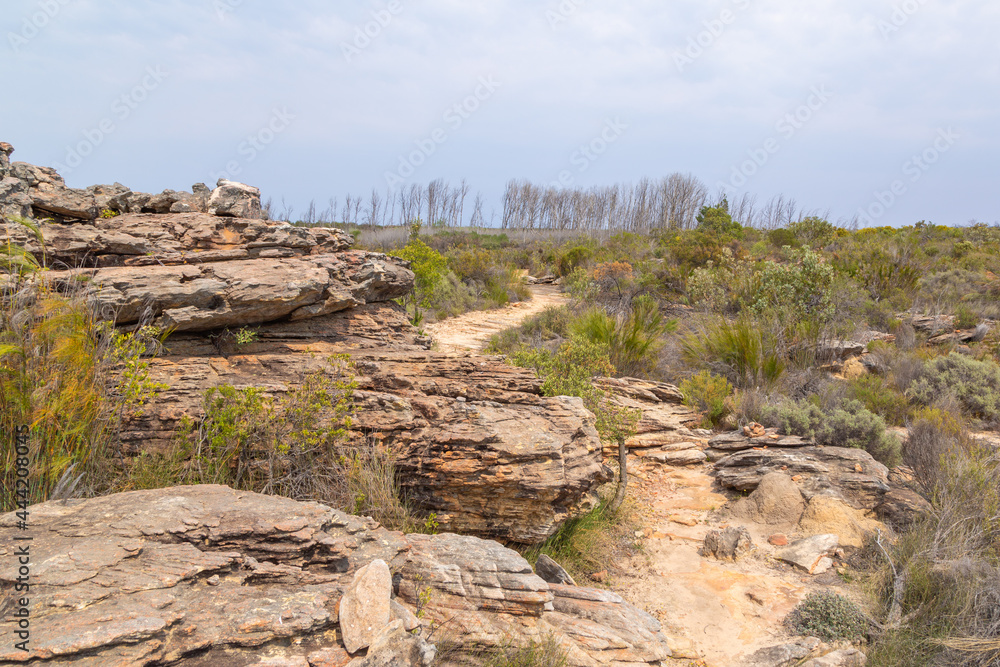 Stony landscape in the Oorlogskloof Nature Reserve close to Nieuwoudtville in the Northern Cape of South Africa