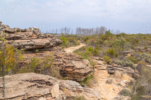 Stony landscape in the Oorlogskloof Nature Reserve close to Nieuwoudtville in the Northern Cape of South Africa photo