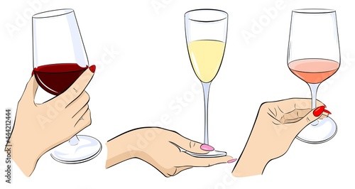 White, red and rose wine. Wine glasses. Hands are holding glasses of red wine.