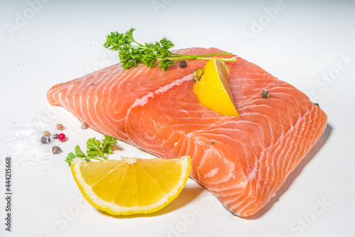 Raw fresh salmon fish steak