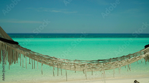 Tropical landscape: beautiful beach with hammock, palm trees by turquoise water. Panglao island, Bohol, Philippines. Summer and travel vacation concept. photo