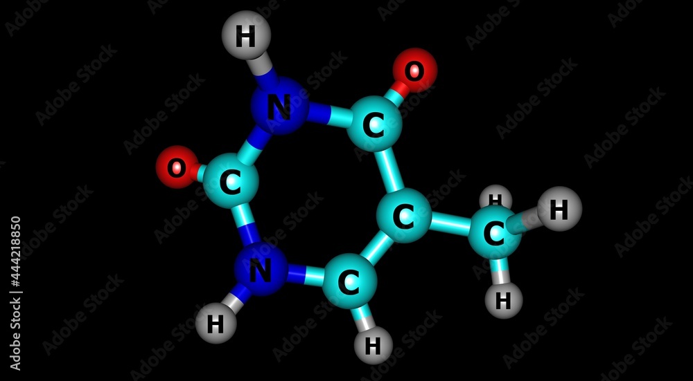 Thymine molecular structure isolated on white Thymine molecular structure isolated on white