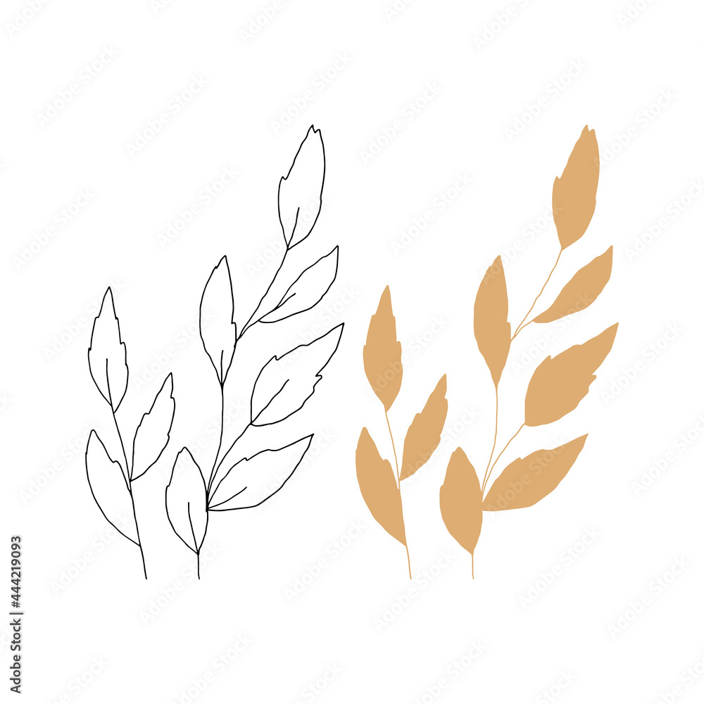 Hand drawn branches with leaves in minimal modern style. Floral illustration, vector icons. Hand drawn branches with leaves in minimal modern style. Floral illustration, vector icons.