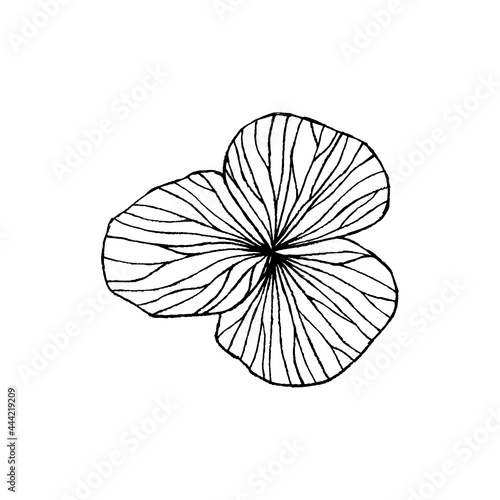 Hand drawn detailed flower in modern style. Floral black and white icon  vector graphics.