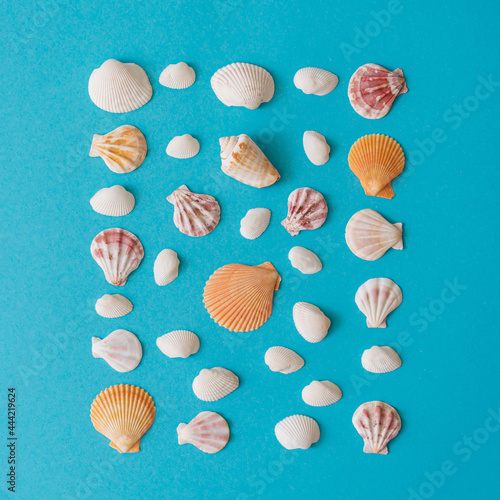 Creative seashell pattern on blue background. .Summer flat lay.
