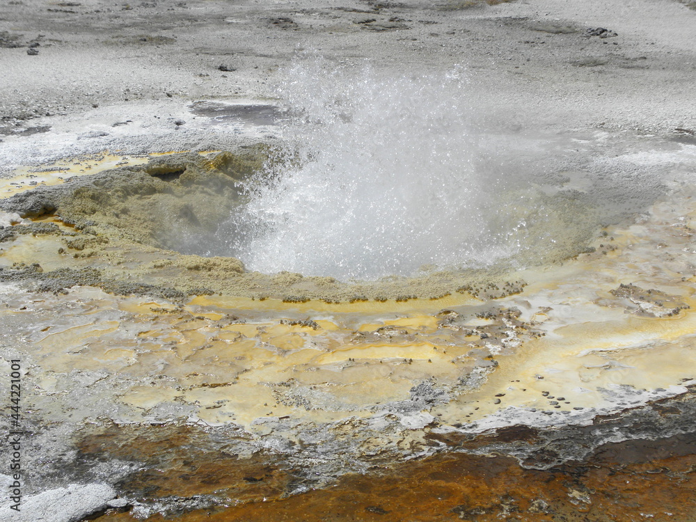 boiling hot spring  in biscuit geyser basin, yellowstone national park, wyoming
